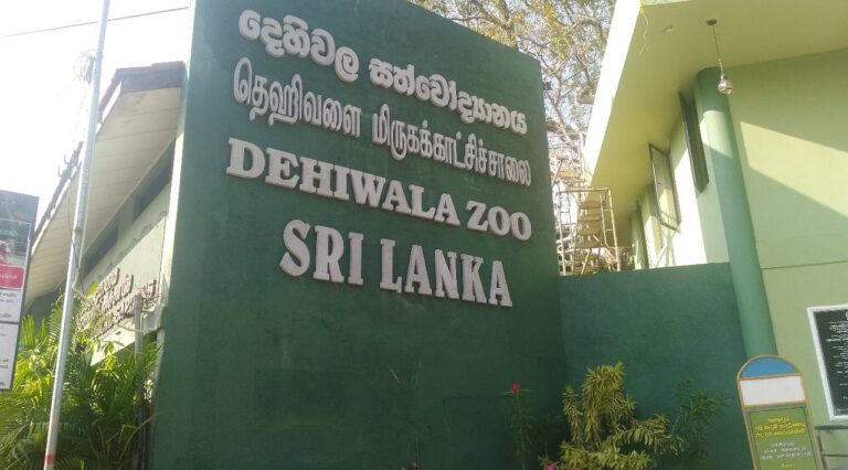 Sri Lanka’s Zoos tours