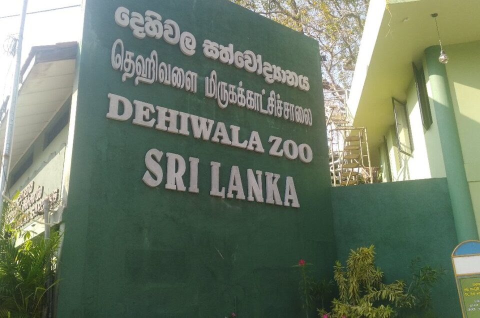 Sri Lanka’s Zoos tours